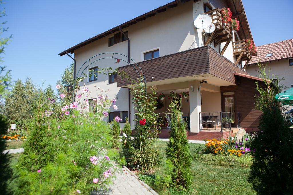 Hotel Pensiunea Royal Garden Sîmbăta de Sus Exterior foto